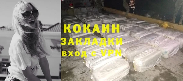 PSILOCYBIN Вязьма