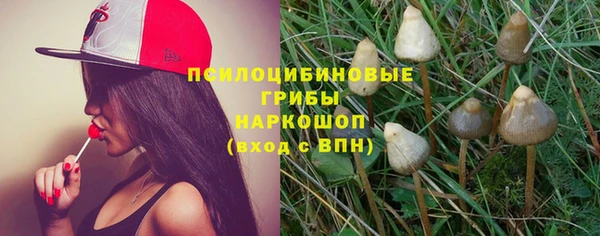 прущие крисы Вязники
