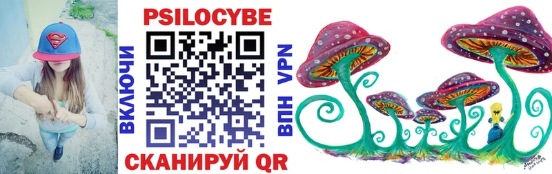 как найти закладки  Яхрома  Псилоцибиновые грибы Psilocybe 